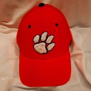 Cincinnati Bearcat cap